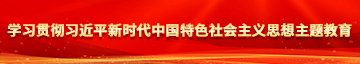 男J女q学习贯彻习近平新时代中国特色社会主义思想主题教育